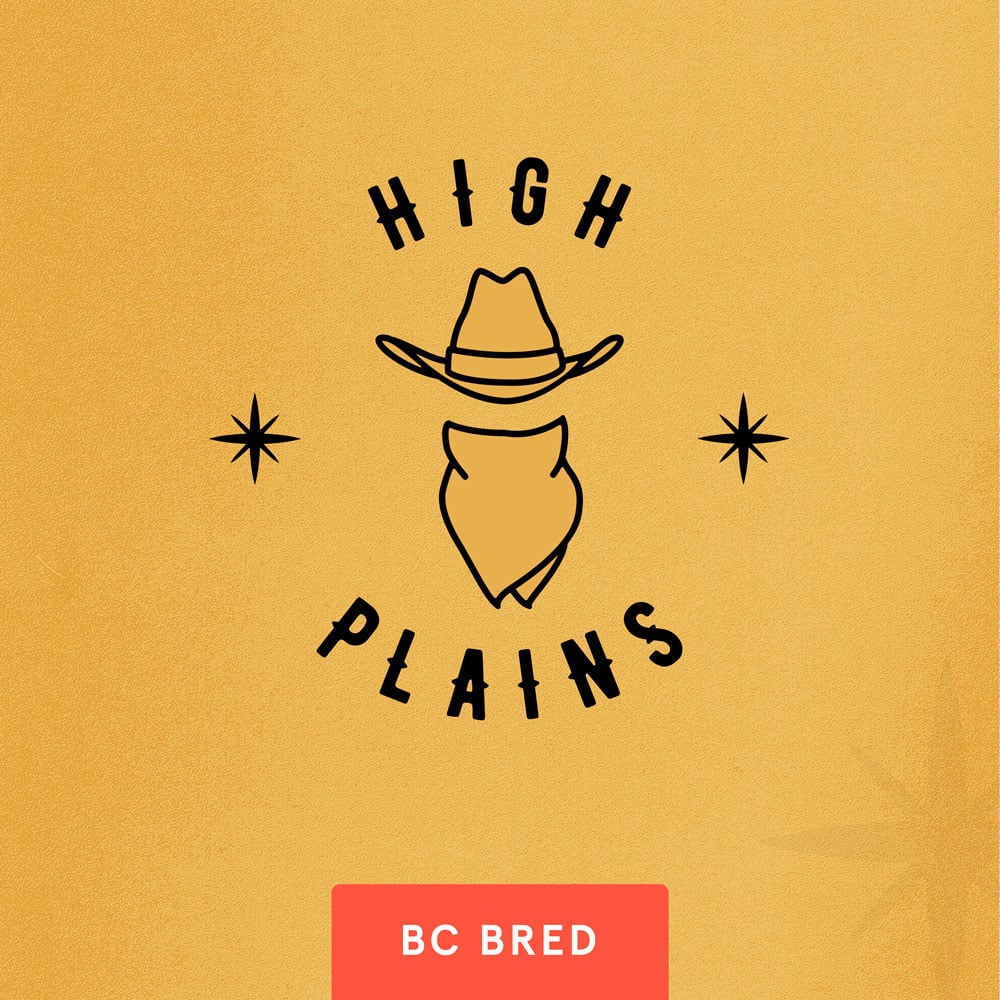 High Plain Cannabis
